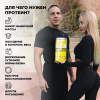 Комплексный протеин STEELPOWER WCS COMPLEX, 900 гр, Арахис, Карамель, Нуга, Шоколад