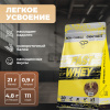 Сывороточный протеин STEELPOWER FAST WHEY, пакет 900 гр, Арахис, Карамель, Нуга, Шоколад
