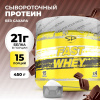 Сывороточный протеин STEELPOWER FAST WHEY, 450 гр, Сливочный шоколад
