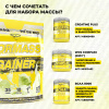 Гейнер STEELPOWER FORMASS GAINER, 1500 гр, Фисташковое мороженое