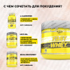 Сывороточный протеин STEELPOWER FAST WHEY, 450 гр, Арахис, Карамель, Нуга, Шоколад
