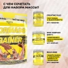 Гейнер STEELPOWER FORMASS GAINER, 1500 гр, Печенье, Шоколад, Карамель