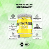 Аминокислоты STEELPOWER BCAA 8000, 300 гр, Тархун